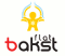 Логотип Бакст-Флет