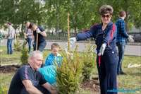 Автоградбанк принял участие в озеленении города