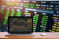 Фото: lOvE lOvE / shutterstock