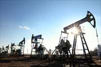 Фото: Kokhanchikov / shutterstock