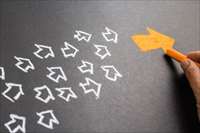 Фото: patpitchaya / shutterstock