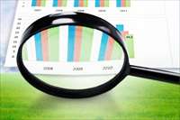 Фото: Billion Photos / shutterstock