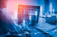 Фото: Phongphan / shutterstock