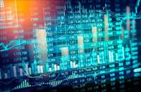 Фото: Phongphan / shutterstock