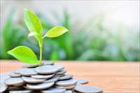 Фото: ITTIBOON MOOLKHAM / shutterstock