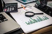 Фото: donut8449 / shutterstock