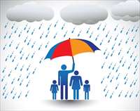 Фото: KreativKolors / shutterstock