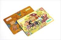 Саровбизнесбанк выпустил более ста тысяч карт «Мир»