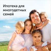 Программа господдержки многодетных семей