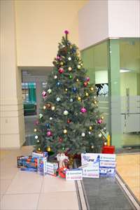 Подари ребенку новогоднее чудо