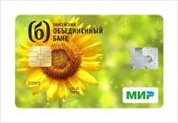 Лицевая сторона карты Мир Бизнес.jpg