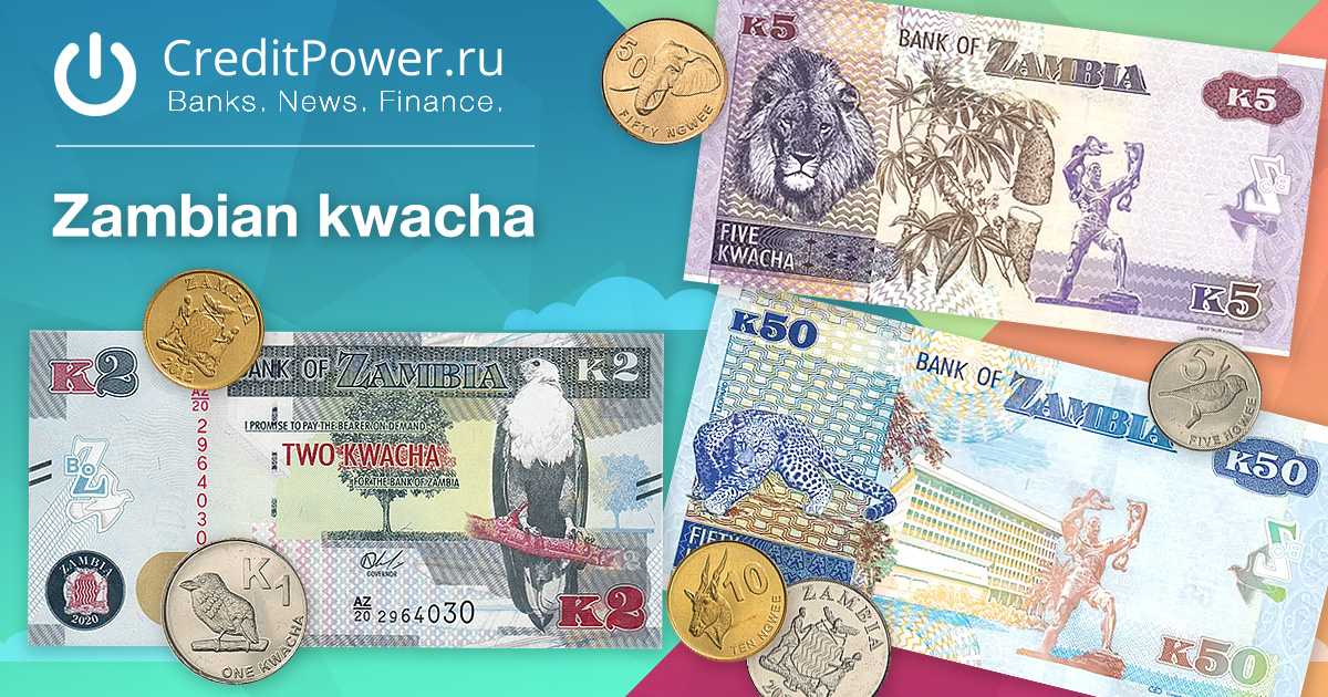 Образец Замбийская квача